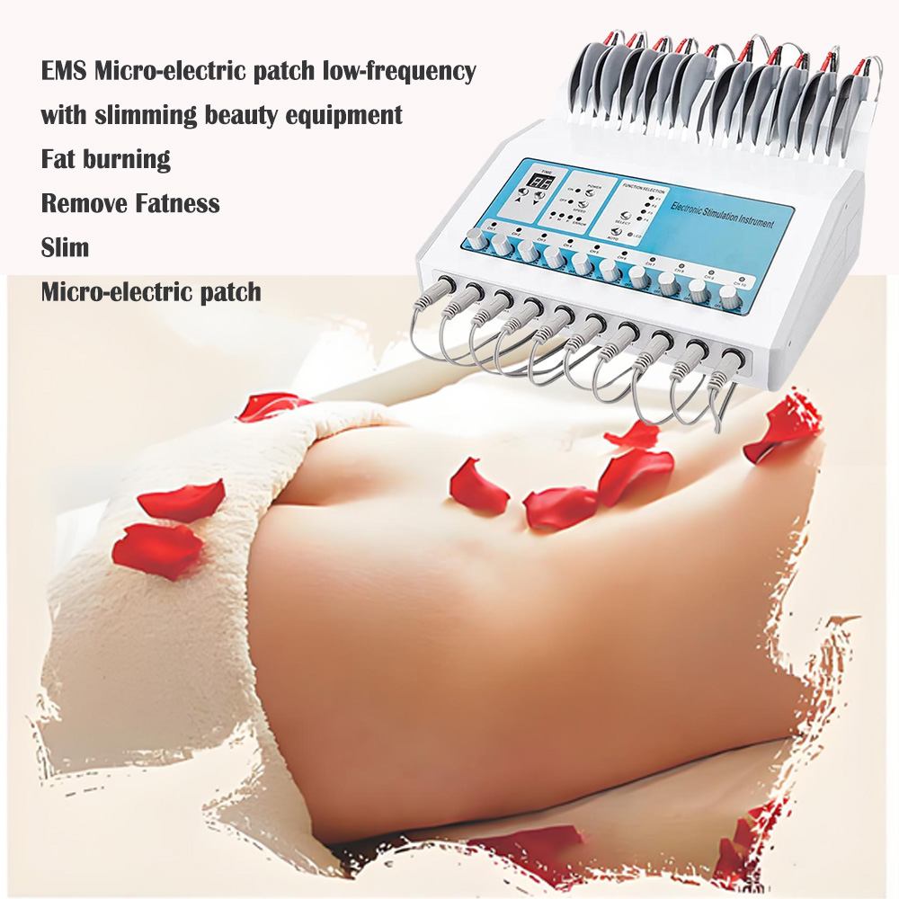 Bio Microcurrent Therapy Machine 10 Channel EMS Massager